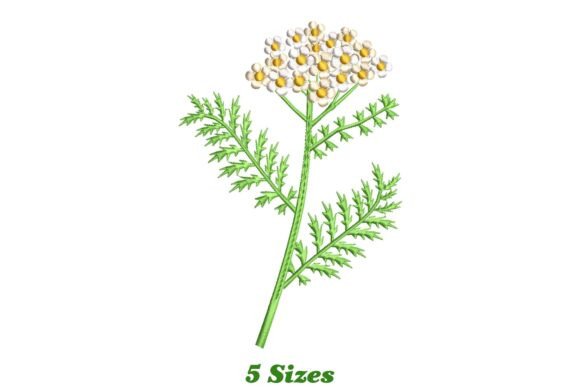 Yarrow Flower: A Designer’s Review for Real Projects
